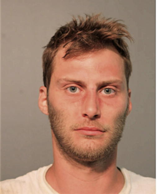 DANIJEL PAVLOVIC, Cook County, Illinois