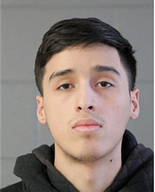 ERICK U PEREZ, Cook County, Illinois