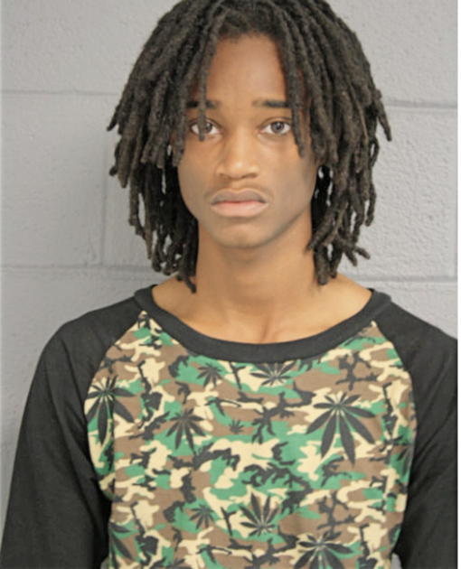 JOSHUA T SANDERS, Cook County, Illinois
