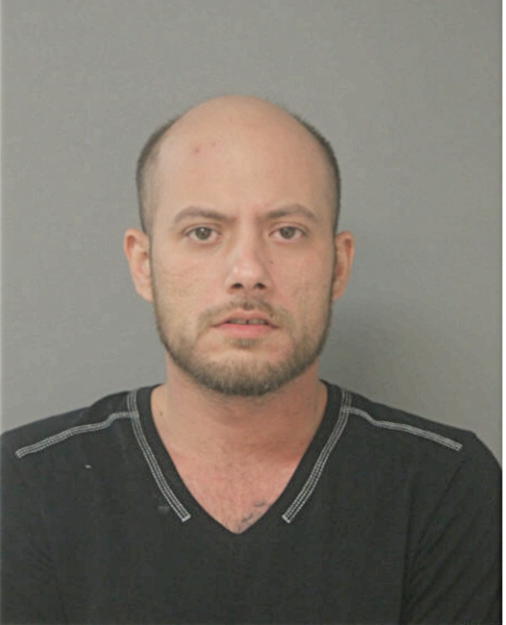 ANTHONY TAN, Cook County, Illinois