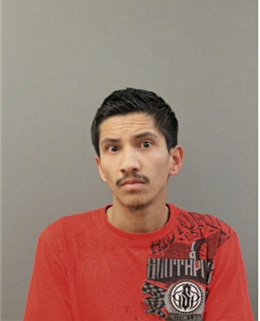 JUAN A VEGA-MONTOYA, Cook County, Illinois