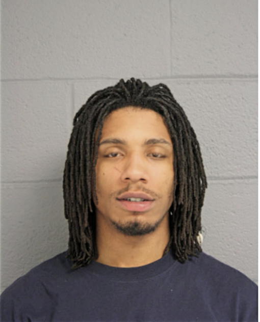 ARTHUR S WILSON, Cook County, Illinois