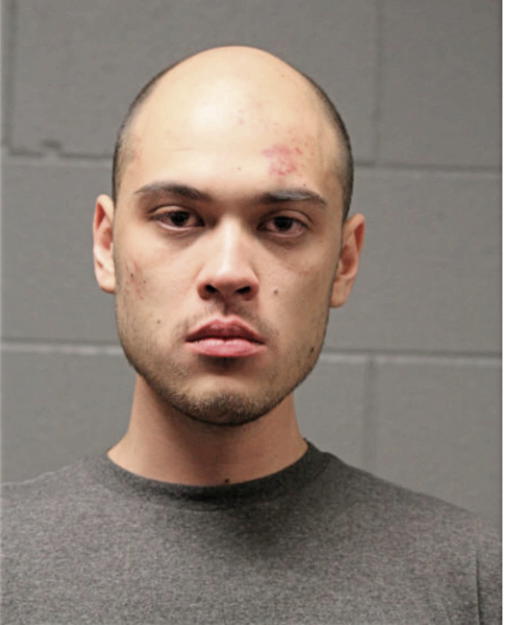 MIKE J ALCORN, Cook County, Illinois