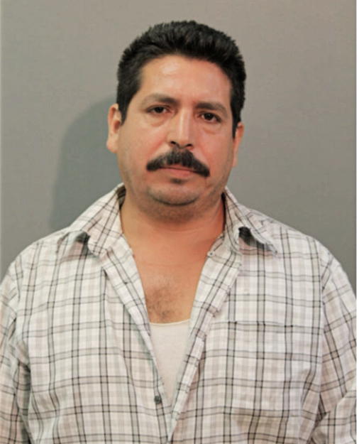 RAMON ALVARADO, Cook County, Illinois