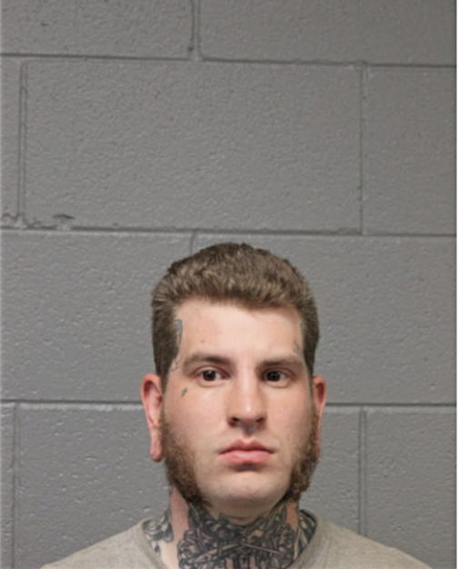 JAMES ROBERT BRANDJES, Cook County, Illinois