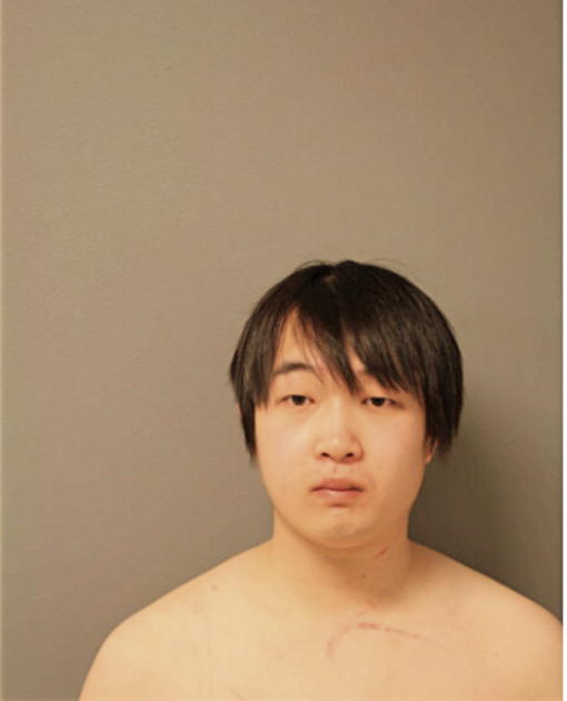 WENYAN CHEN, Cook County, Illinois