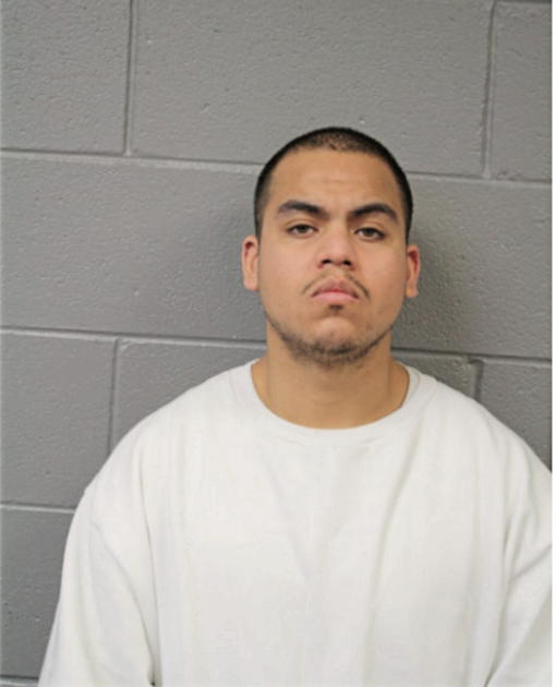ALEXIS B CRISTANO, Cook County, Illinois