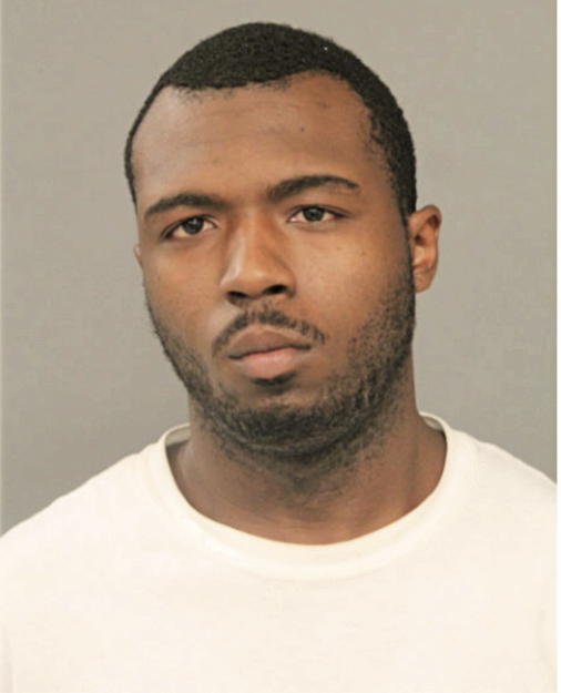 MICHAEL L CUNNIGHAM, Cook County, Illinois