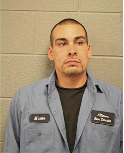 MARTIN M FERNANDEZ, Cook County, Illinois
