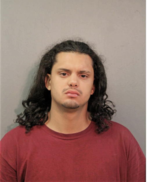 ALEX L HERNANDEZ, Cook County, Illinois