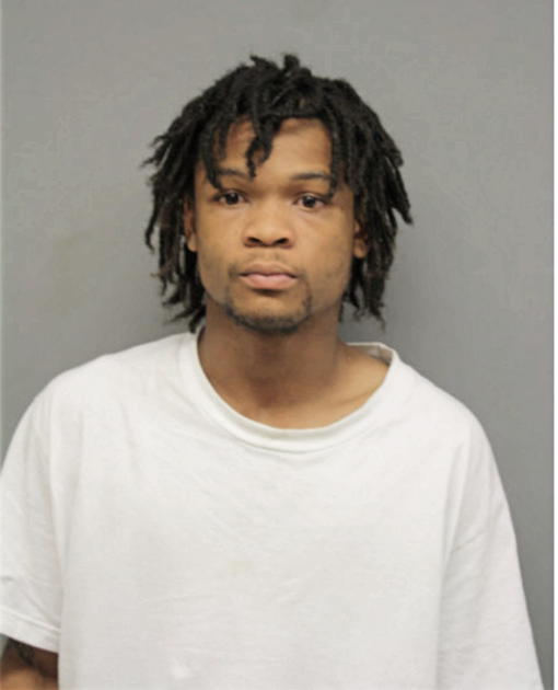 DAVID R HESTER, Cook County, Illinois