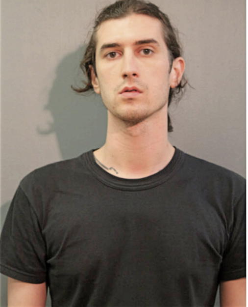 TYLER K JOHNSON, Cook County, Illinois