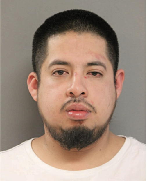 DANIEL LOZANO-ARELLANO, Cook County, Illinois