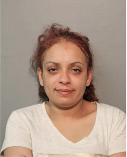 RUBY E MALAVE, Cook County, Illinois