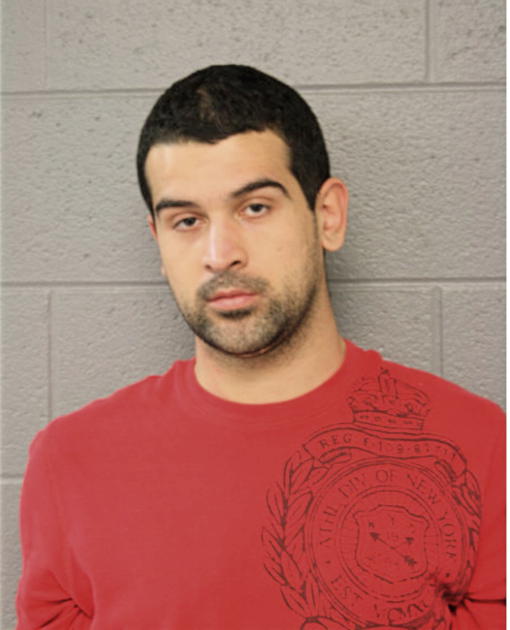 DAVID M MERCADO, Cook County, Illinois