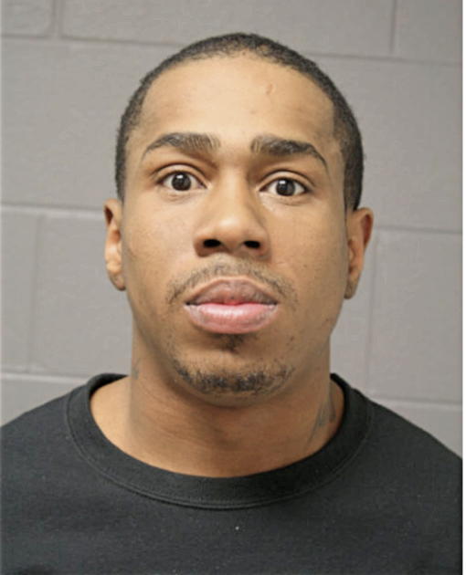 MICHAEL D PAGE, Cook County, Illinois