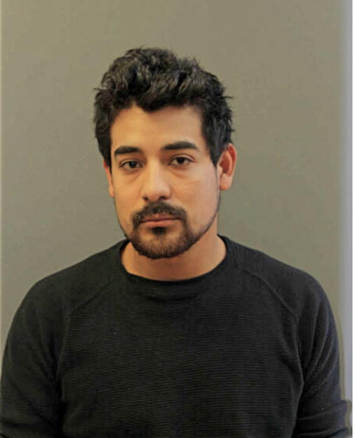 HUMBERTO RIVERA-PICHARDO, Cook County, Illinois