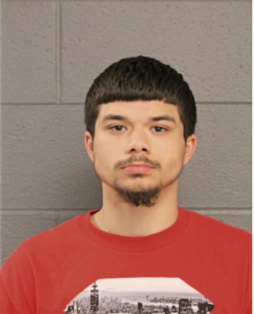 ENRIQUE ROBLES, Cook County, Illinois