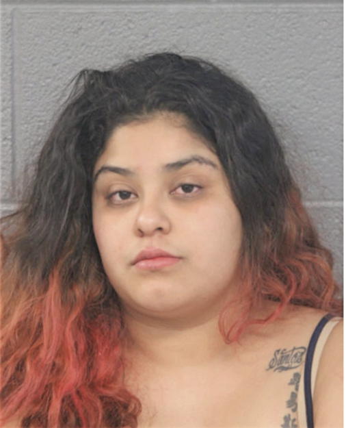 CLAUDIA B ROSALES, Cook County, Illinois