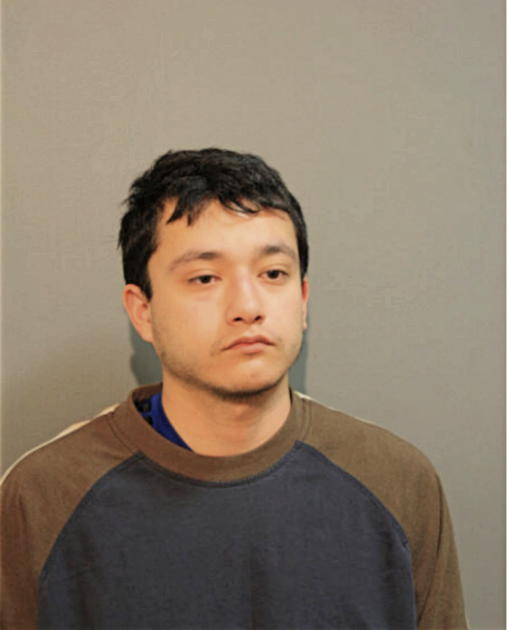 JUAN M RUIZ, Cook County, Illinois