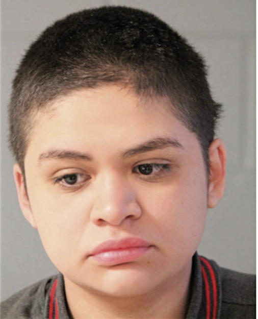 XOCHIL RUVALCABA, Cook County, Illinois