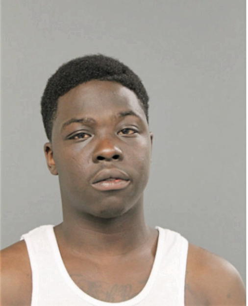 CHARLES A STEWART, Cook County, Illinois