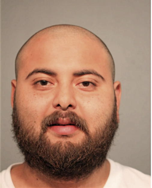 ANTONIO TORRES, Cook County, Illinois