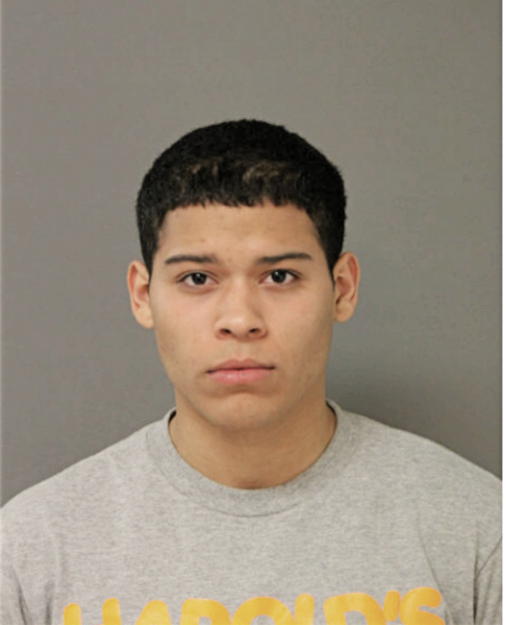 JUSTIN N VARGAS, Cook County, Illinois