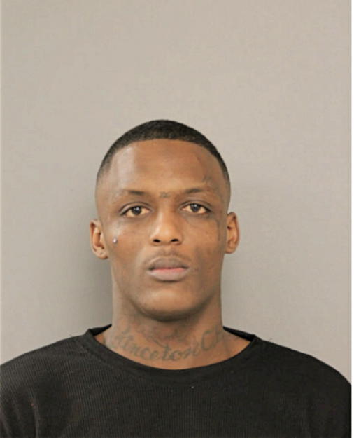 CHRISTOPHER D WATSON, Cook County, Illinois