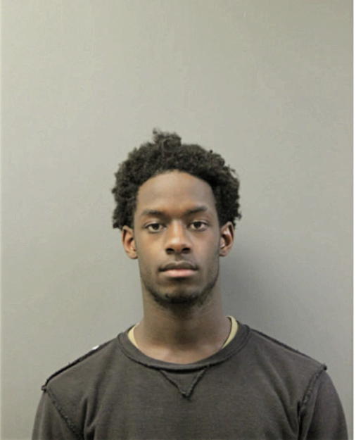 PATRICK J WILSON, Cook County, Illinois