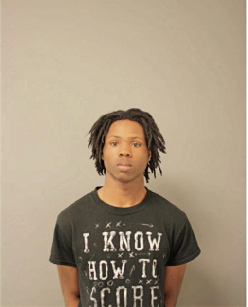 CHRISTOPHER D WOODARD, Cook County, Illinois
