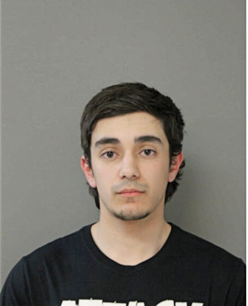 MICHAEL A SILV A, Cook County, Illinois