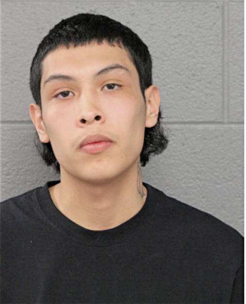 ALEXANDER E AGUINAGA, Cook County, Illinois