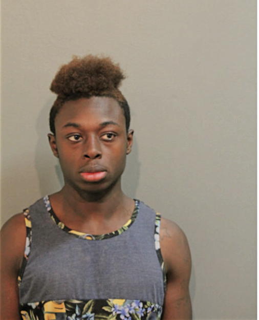 CASHMERE D ANDERSON, Cook County, Illinois