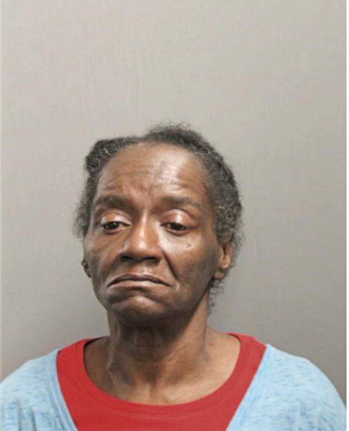 LISA R ANDERSON, Cook County, Illinois