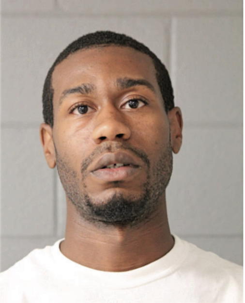 MICHAEL E ANDERSON, Cook County, Illinois