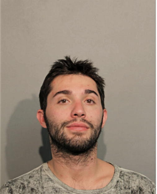 DANIEL J BEMBEA, Cook County, Illinois