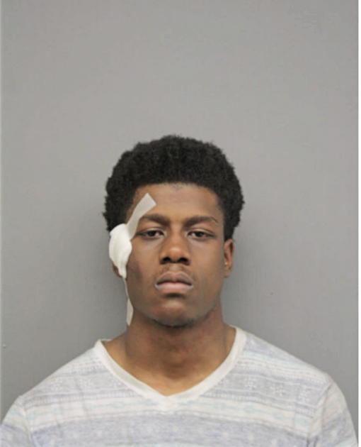 KEVIN E BROWN, Cook County, Illinois