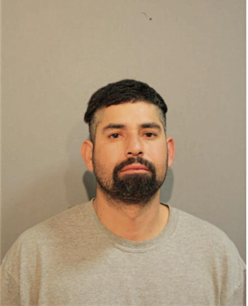 JOSE F CORTES, Cook County, Illinois