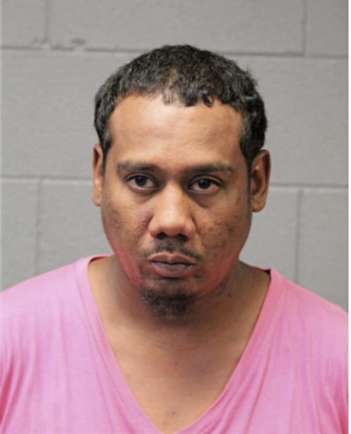 MICHAEL J DAWSON, Cook County, Illinois