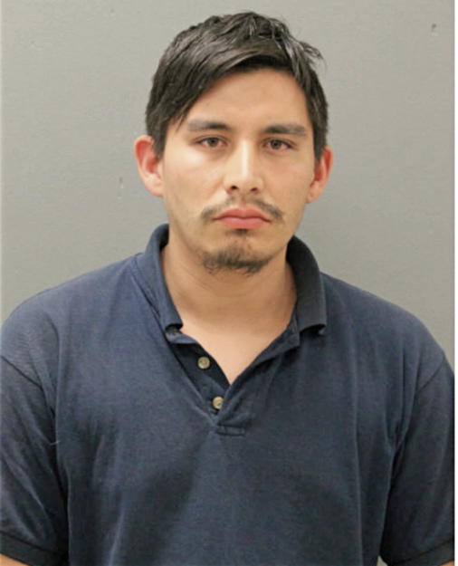 ADAN GALLARZO, Cook County, Illinois