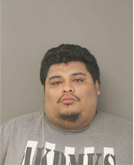 BRAYAN GARCIA, Cook County, Illinois