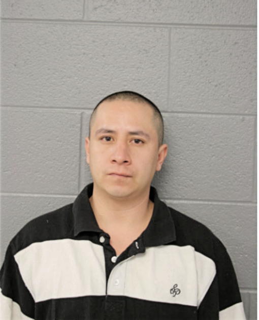 ALEJANDRO HERNANDEZ, Cook County, Illinois