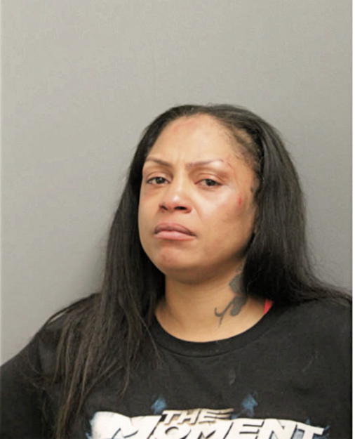 LAKEISHA N HOLMES, Cook County, Illinois