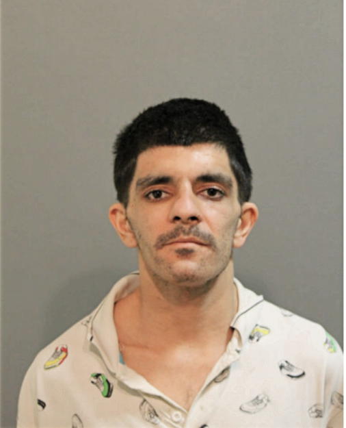 MARK A JAIKARAN, Cook County, Illinois