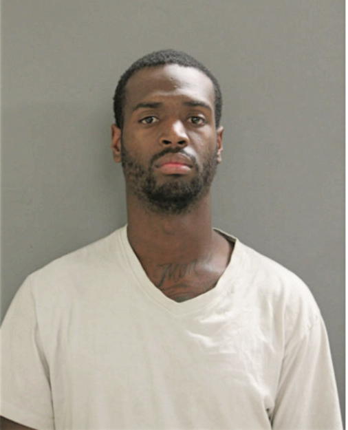 DONZEL N JENKINS, Cook County, Illinois