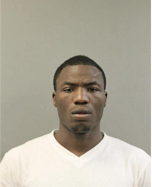 TARRENCE D JOHNSON, Cook County, Illinois