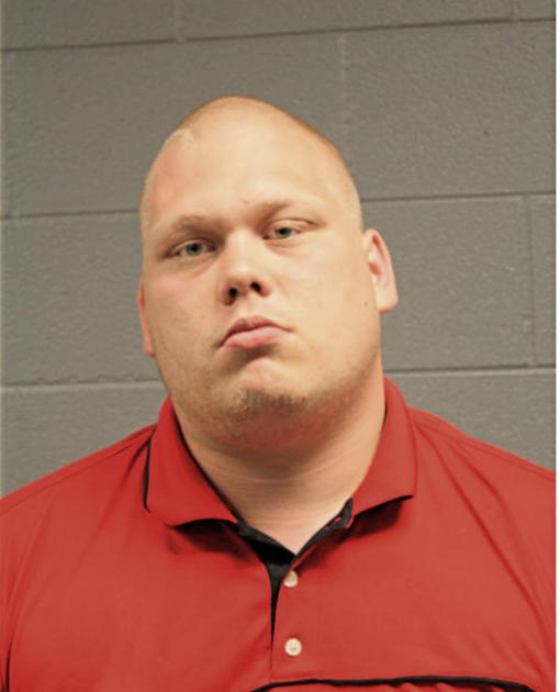 STANLEY A KRZAK, Cook County, Illinois
