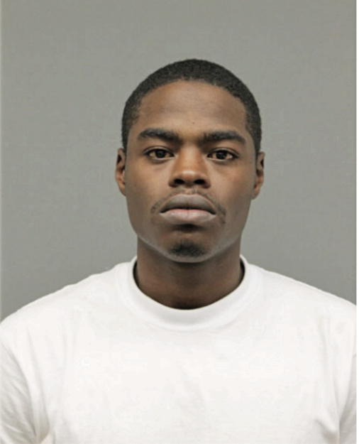 ANDRE J REED, Cook County, Illinois