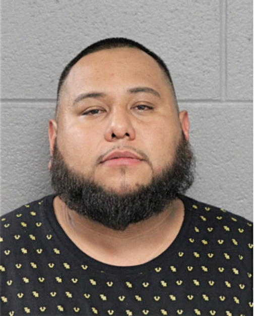 GUADALUPE REYES, Cook County, Illinois